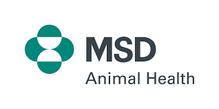 msd Logo